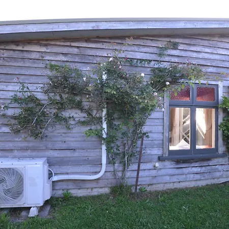 Mountain View Cottage Raglan Exterior photo